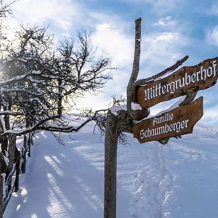 Mittergruberhof 3* سخلادميخ