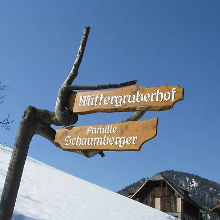 Mittergruberhof 住宿加早餐酒店 斯拉德明