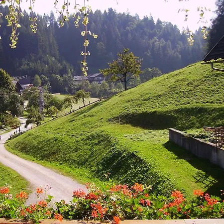 Mittergruberhof * 斯拉德明
