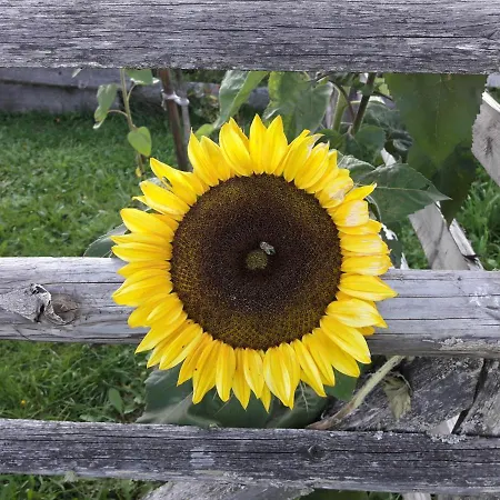 Mittergruberhof فندق مبيت وإفطار 3*