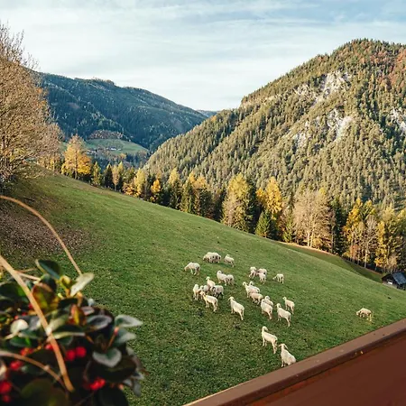 B&B Mittergruberhof 슈라드밍