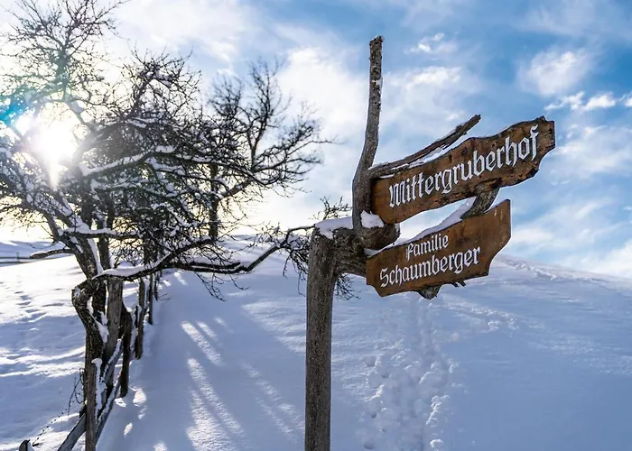 Mittergruberhof 3* Schladming