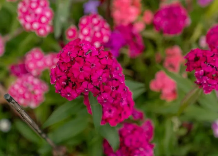 Mittergruberhof 3* シュラートミンク